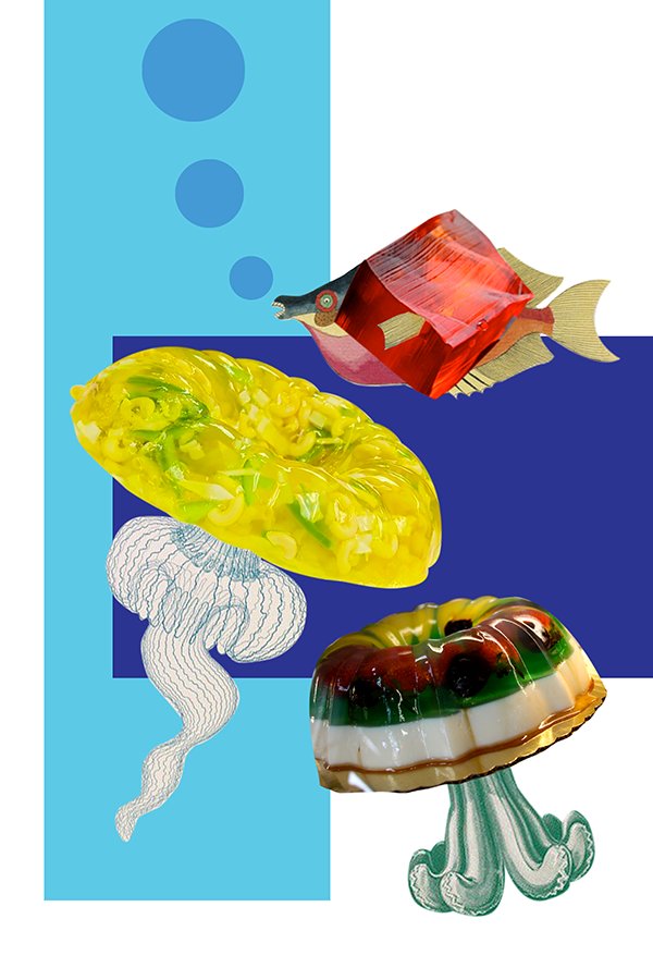 06 jellyfish